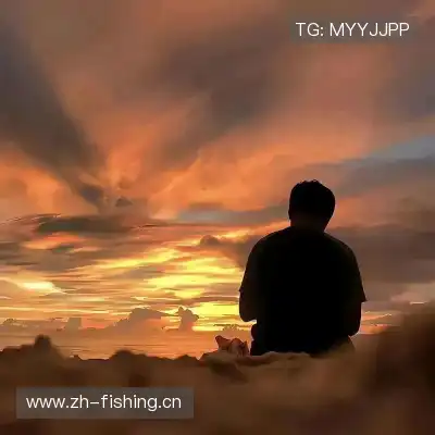 惠月泽